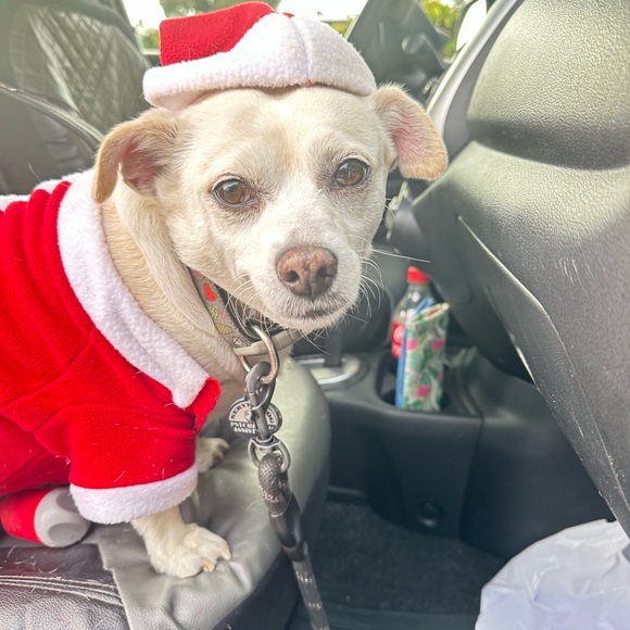 Meet your Posher, Jen - Picture 1 of 1